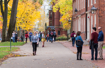 短信连环呼叫软件